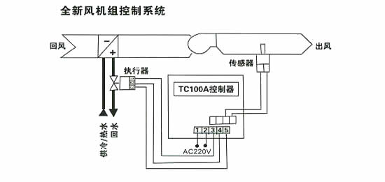 DX-水果箱
